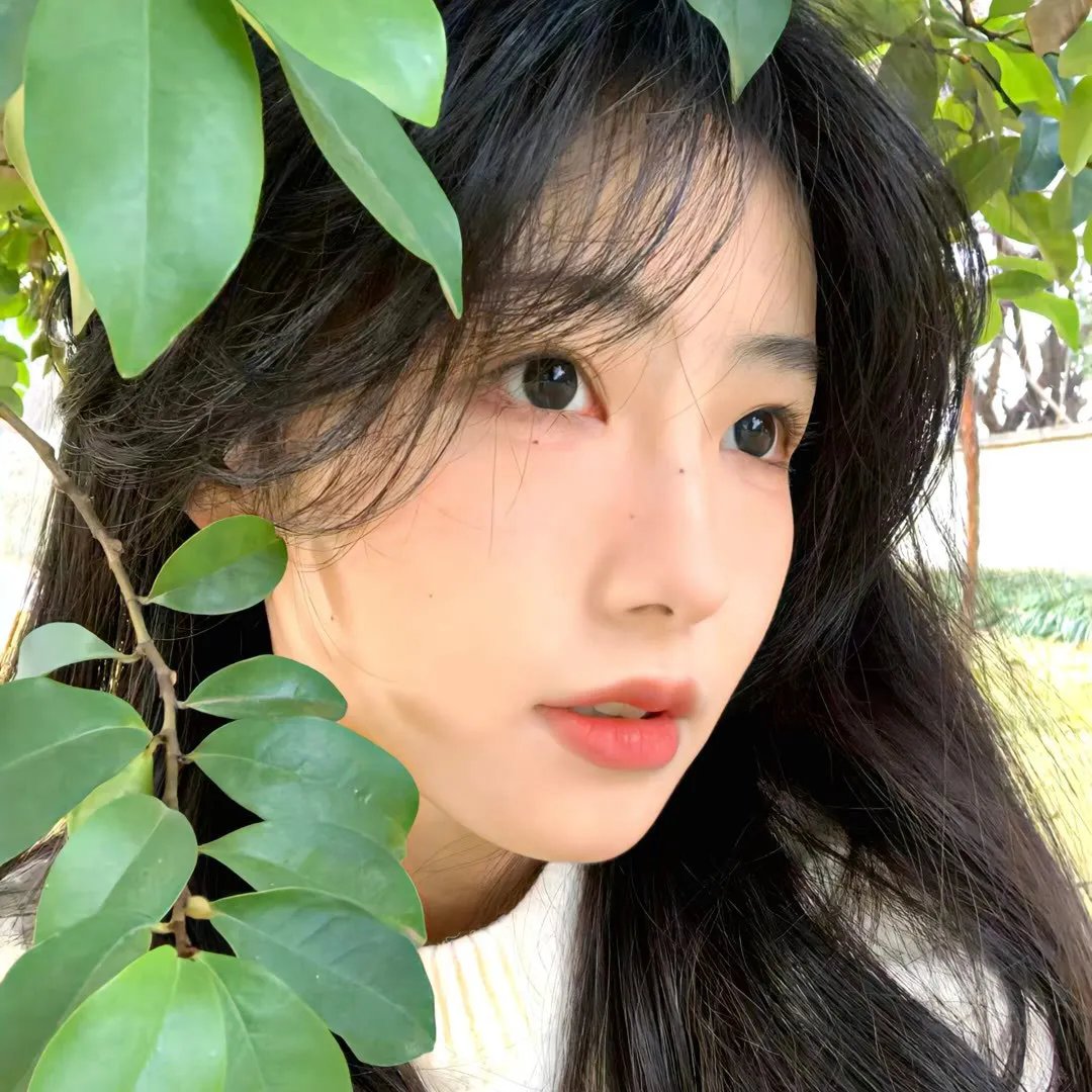 主厨大人爱上我