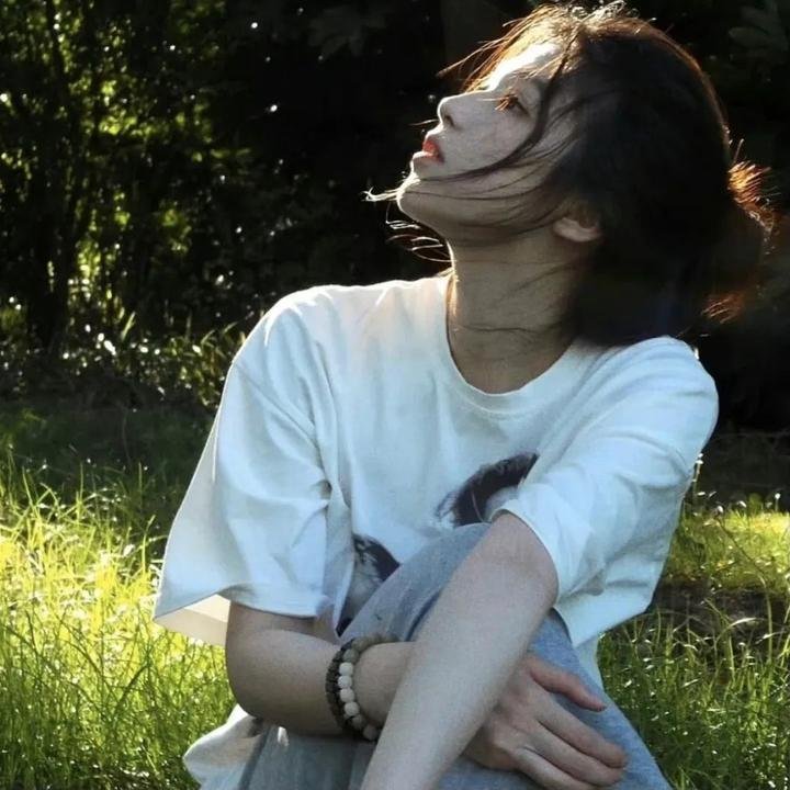 塞上风云记
